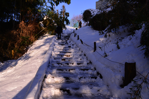 130116 1 DSC_0939.jpg